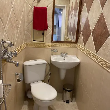 דירה Rustic